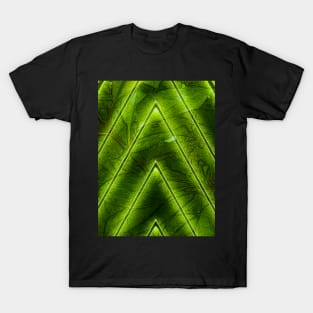 Neon Nature T-Shirt